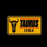 Taurus Seguridad
