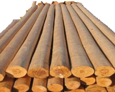 Vigas Rollizas Madera CHILE