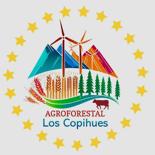 Ferreteria Los Copihues