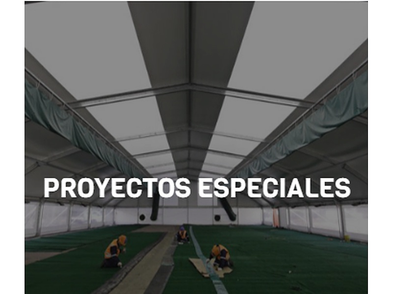 Proyectos especiales Palm PTC
