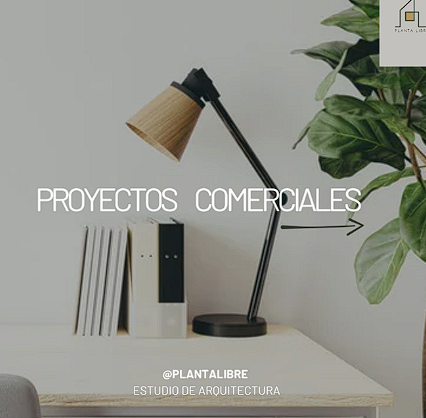 Consultoría en Proyectos Comerciales Chile