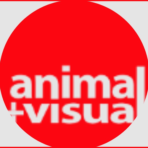 Animal Visual Diseño y Construcción