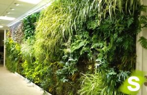 Jardines Verticales